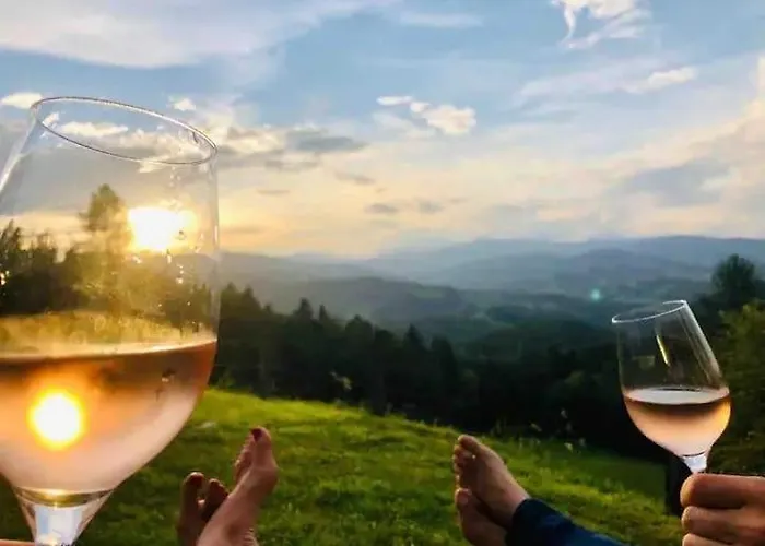 Schreinerhuette Fuer 4 Personen Eibiswald