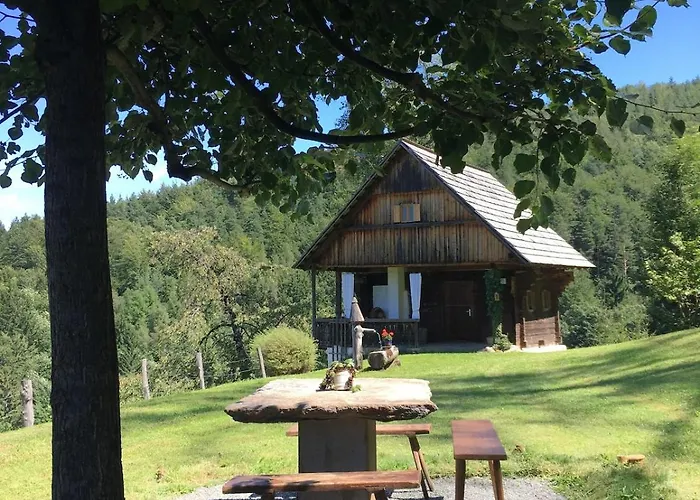 Schreinerhuette Fuer 4 Personen Appartement