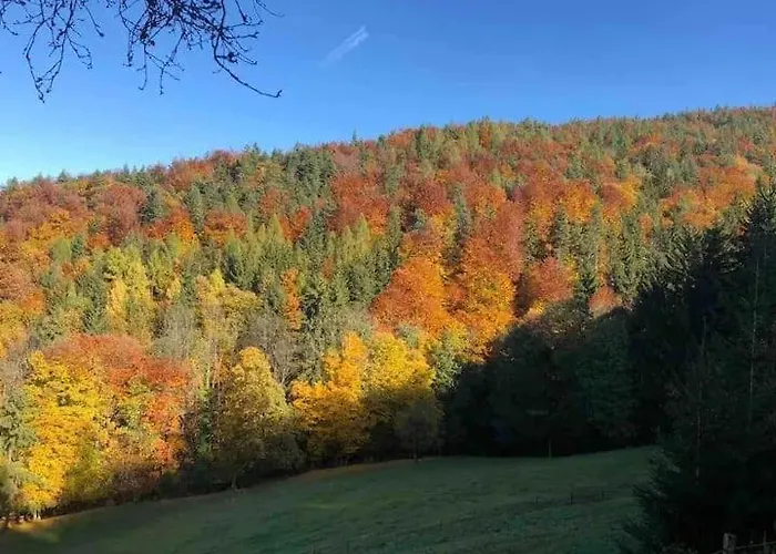 Appartement Schreinerhuette Fuer 4 Personen